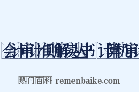 会计审计准则解读丛书·计算机审计是什么意思的图片
